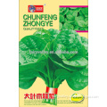 High Quality Malabar Spinach Ceylon Spinach Seed Green Leafy Vegetable Seeds For Growing-Selected Malabar Spinach